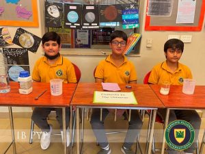 How we organize ourselves