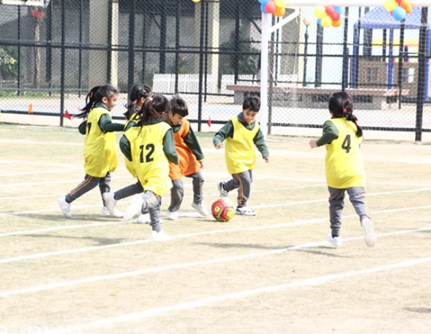 PYP