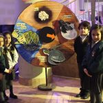 Art & Science Fair